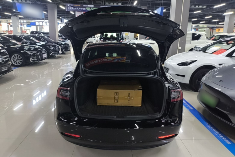 Tesla Model 3 2022 #19 Tesla Model 3 2022 car image #19