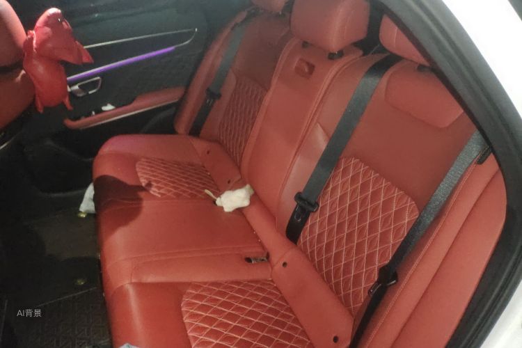 BYD Han 2021 imagen de coche #19