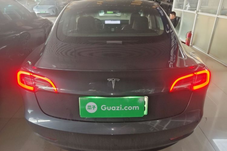 Tesla Model 3 2020 car image #4