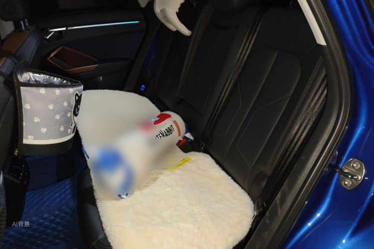 Audi Q3 2019 #19 Audi Q3 2019 car image #19