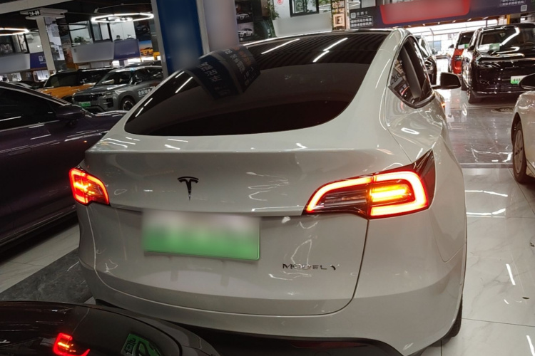 Tesla Model Y 2023 car image #6