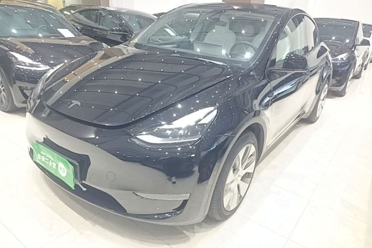 Tesla Model Y 2021 #2 Tesla Model Y 2021 car image #2