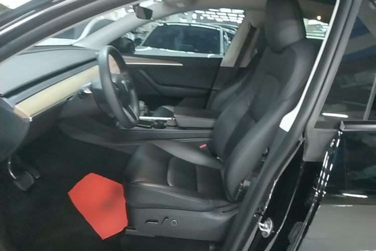 Tesla Model Y 2023 #15 Tesla Model Y 2023 car image #15