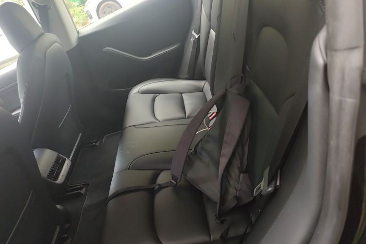 Tesla Model 3 2020 #14 Tesla Model 3 2020 car image #14