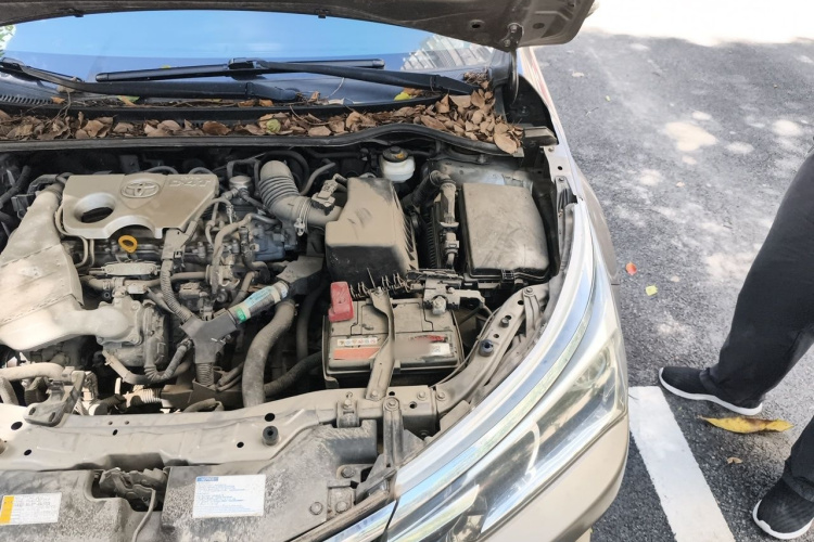 Toyota Corolla 2017 #25 Toyota Corolla 2017 car image #25
