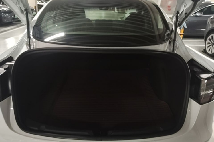 Tesla Model 3 2020 car image #18