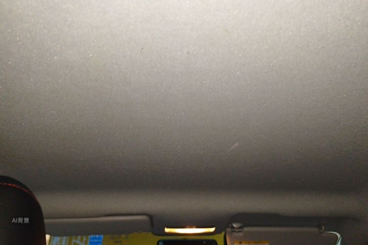 Volkswagen Santana 2023 car image #20