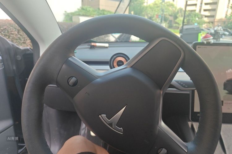 Tesla Model 3 2022 car image #13