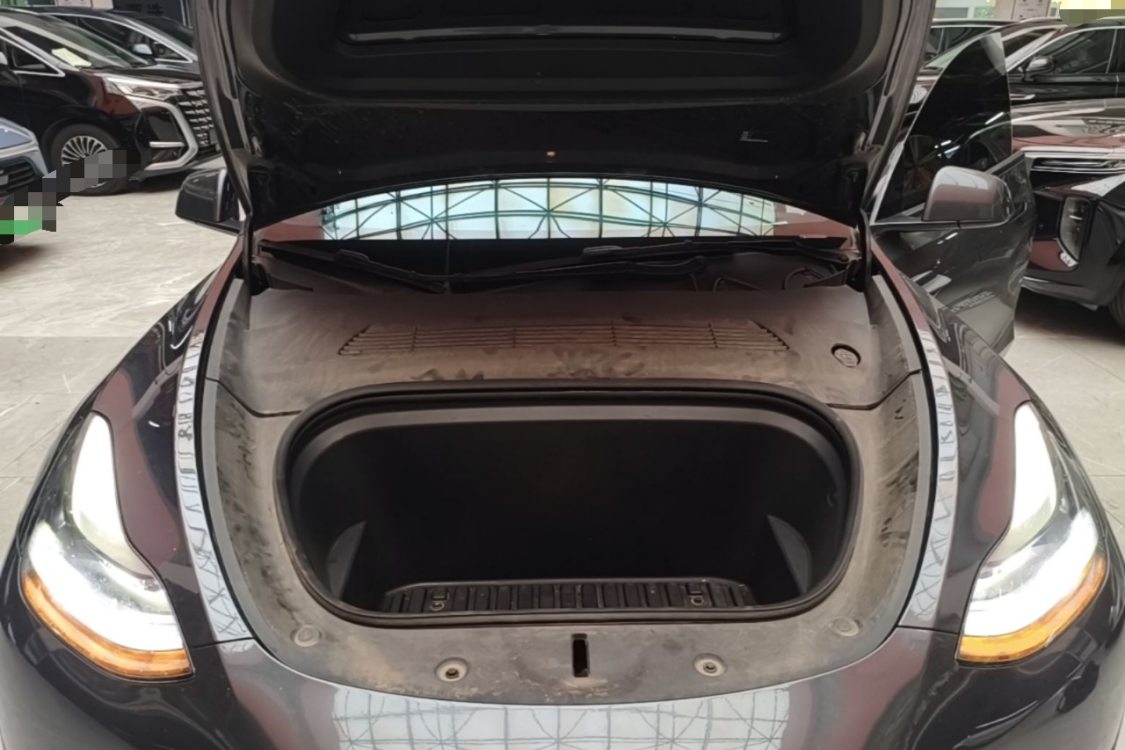 Tesla Model Y 2024 car image #11