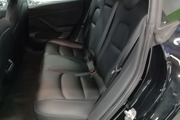 Tesla Model 3 2021 car image #17