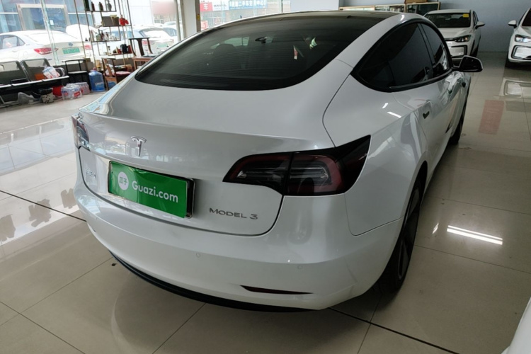Tesla Model 3 2021 #5 Tesla Model 3 2021 car image #5