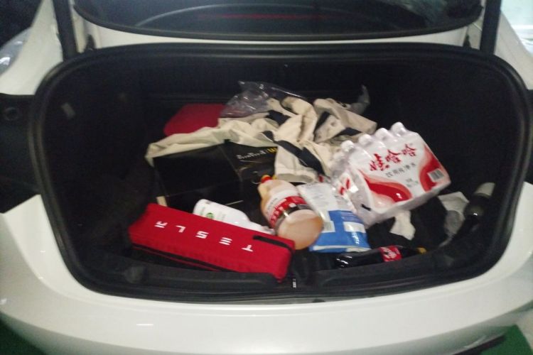 Tesla Model 3 2024 immagine di auto #17