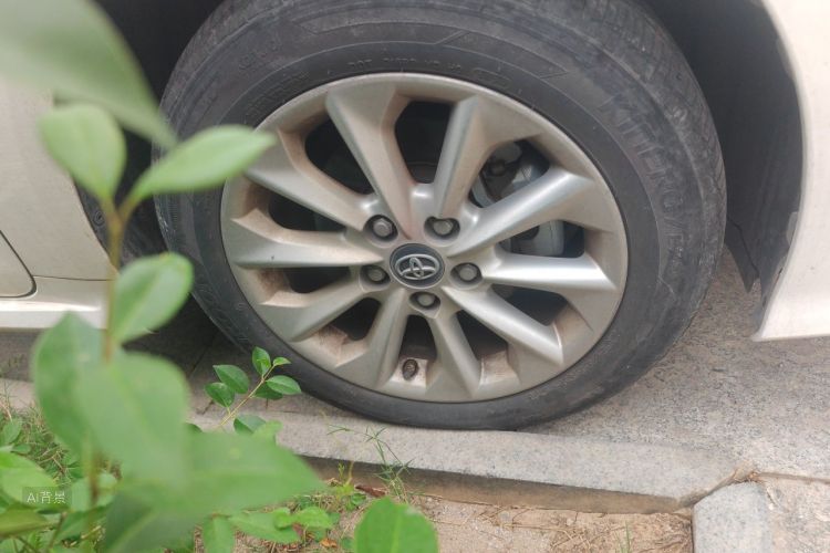 Toyota Corolla 2021 car image #9