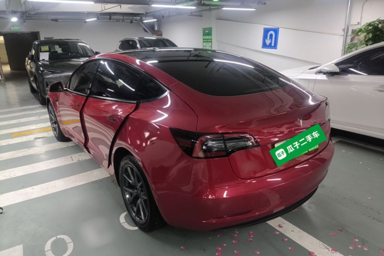 Tesla Model 3 2021 #5 Tesla Model 3 2021 car image #5