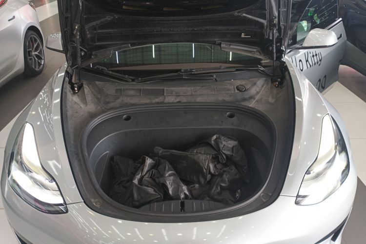 Tesla Model 3 2022 immagine di auto #20