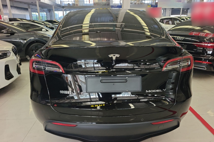Tesla Model Y 2023 #6 Tesla Model Y 2023 car image #6