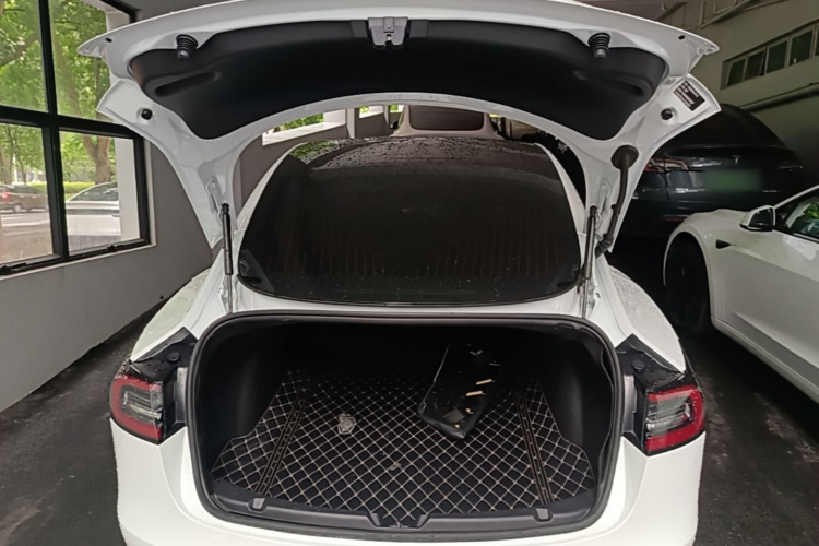 Tesla Model 3 2020 immagine di auto #19