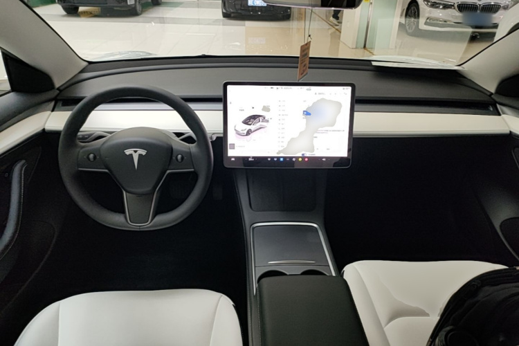 Tesla Model 3 2023 car image #10