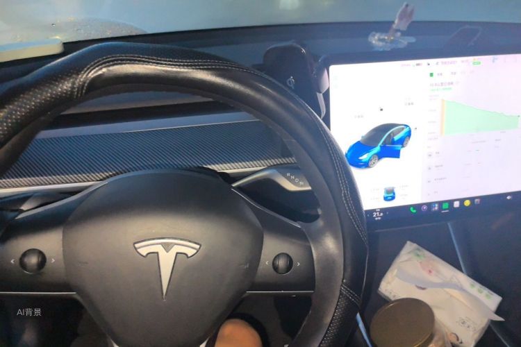 Tesla Model 3 2020 #13 Tesla Model 3 2020 car image #13
