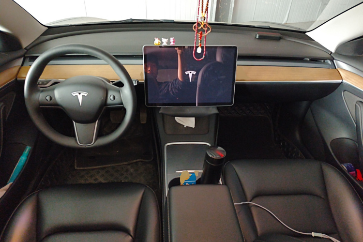Tesla Model 3 2021 car image #11
