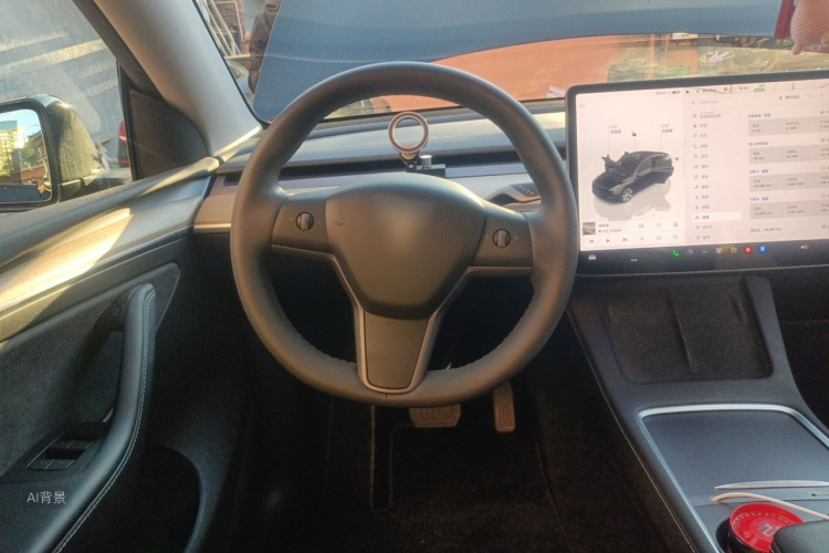 Tesla Model Y 2023 car image #12