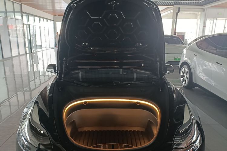 Tesla Model 3 2021 #20 Tesla Model 3 2021 car image #20