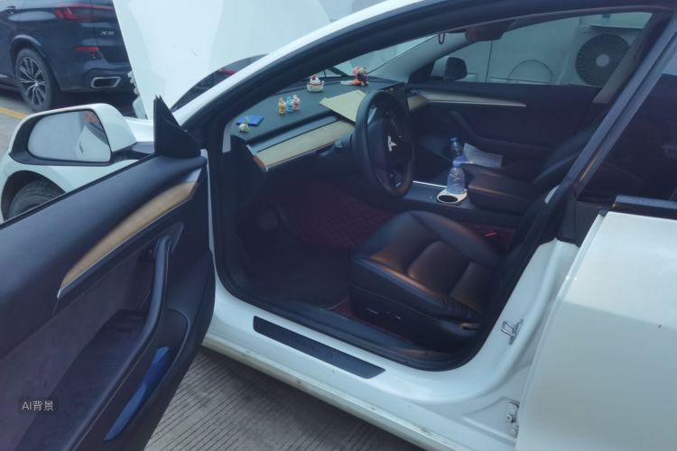 Tesla Model 3 2021 #18 Tesla Model 3 2021 car image #18