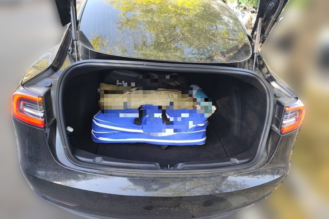 Tesla Model 3 2020 #8 Tesla Model 3 2020 car image #8