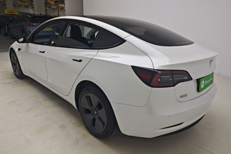 Tesla Model 3 2022 imagem de carro #5
