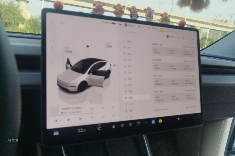 Tesla Model Y 2025 car image #13