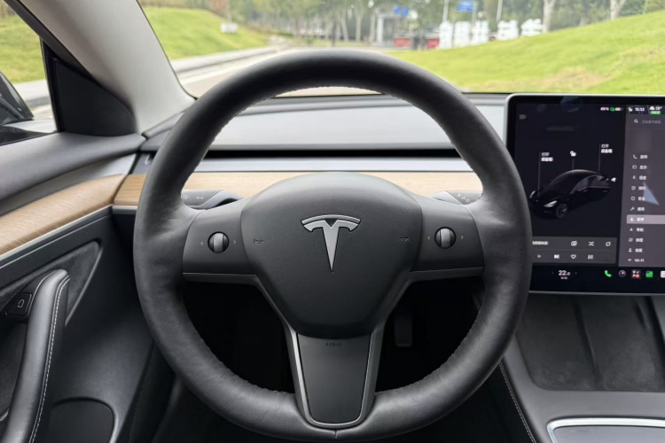 Tesla Model 3 2021 #11 Tesla Model 3 2021 car image #11