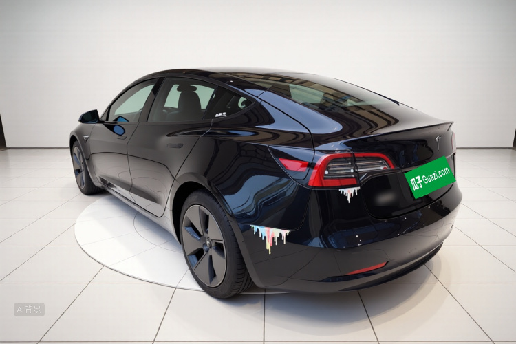 Tesla Model 3 2022 car image #5
