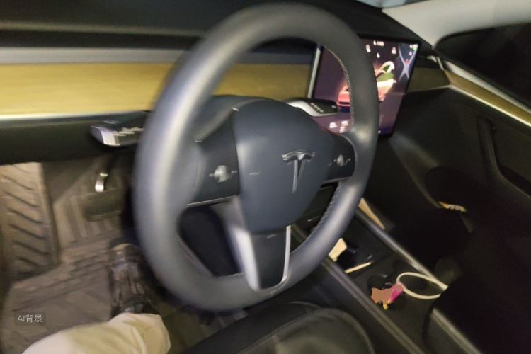 Tesla Model Y 2023 #12 Tesla Model Y 2023 car image #12