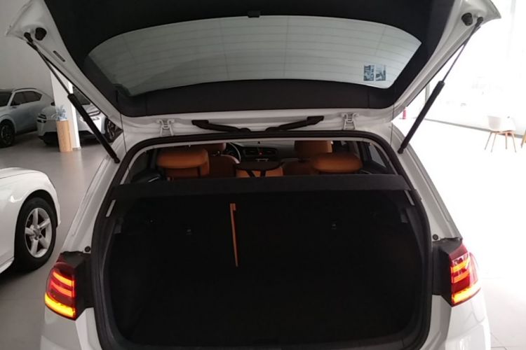 Volkswagen Golf 2020 car image #19
