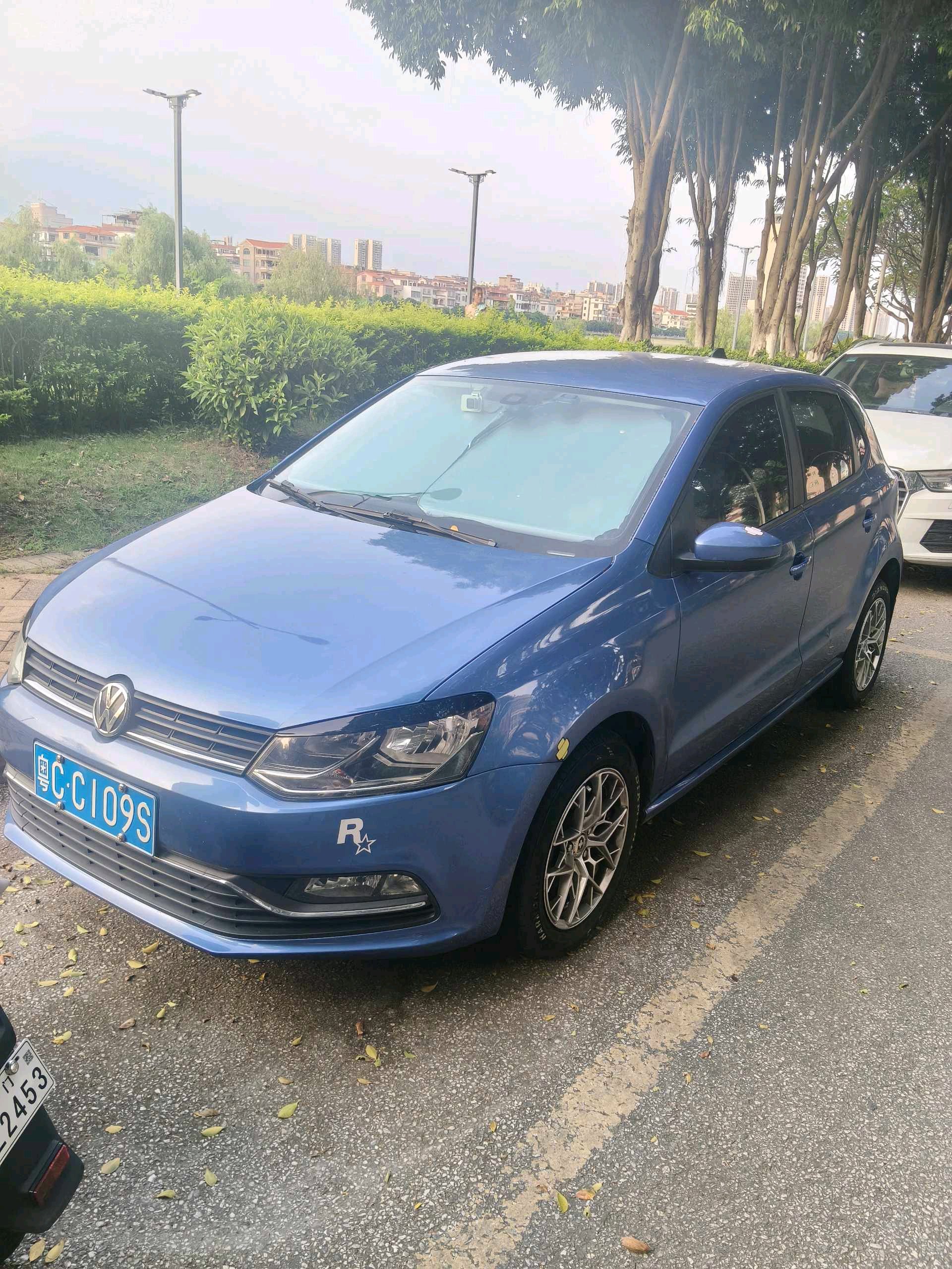 Volkswagen Polo 2015 Volkswagen Polo 2015 car image