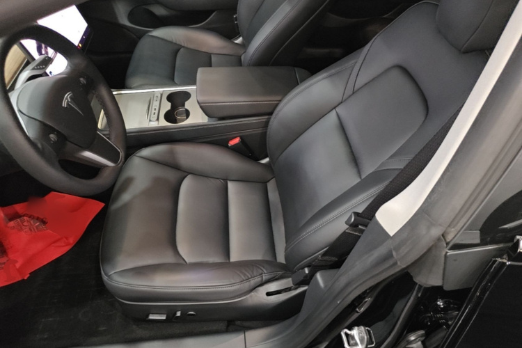 Tesla Model 3 2021 car image #15