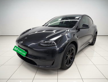Tesla Model Y 2024 Tesla Model Y 2024 car image