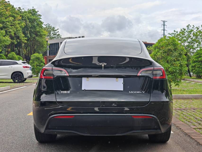 Tesla Model Y 2021 #5 Tesla Model Y 2021 car image #5
