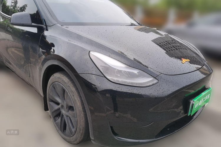Tesla Model Y 2024 car image #4
