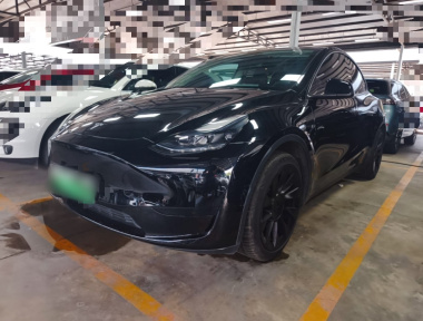 Tesla Model Y 2024 Tesla Model Y 2024 car image