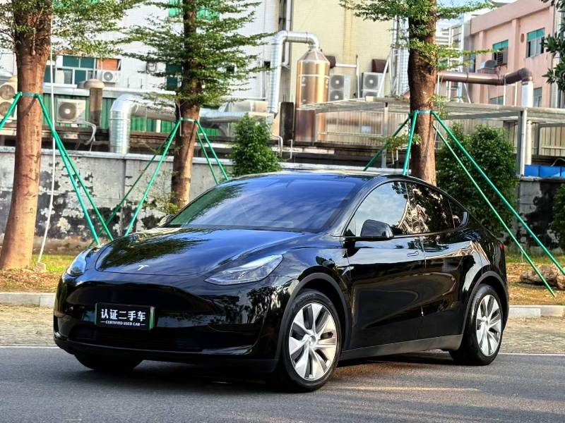 Tesla Model Y 2022 Tesla Model Y 2022 car image