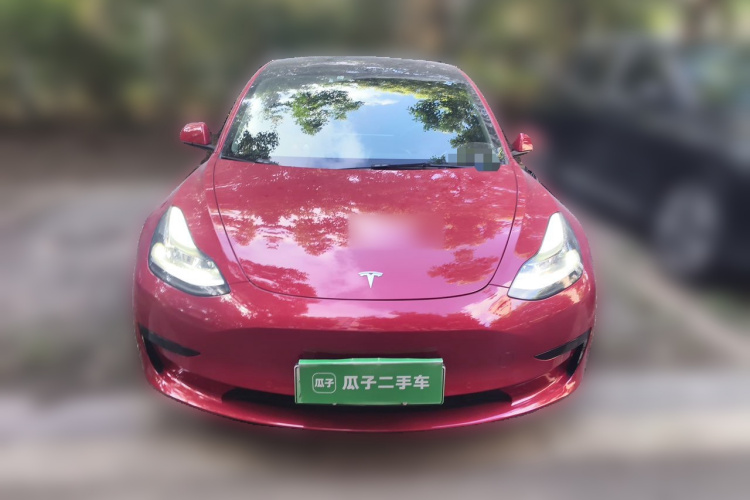 Tesla Model 3 2021 #3 Tesla Model 3 2021 car image #3
