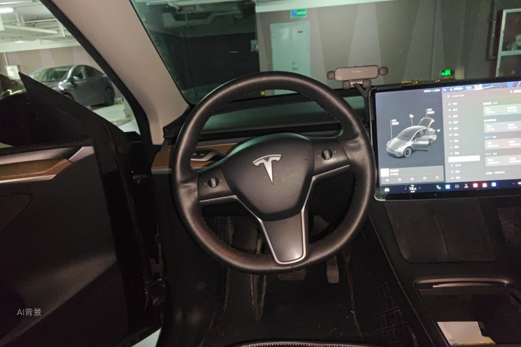 Tesla Model Y 2021 car image #12