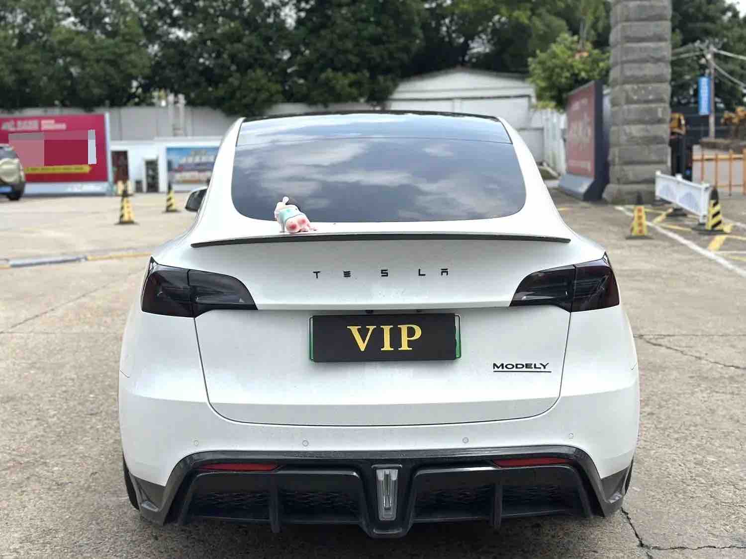 Tesla Model Y 2022 car image #10