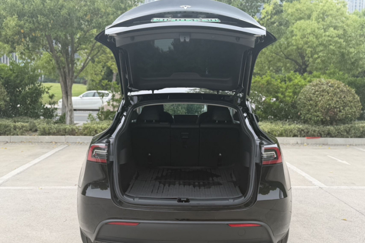 Tesla Model Y 2023 car image #3
