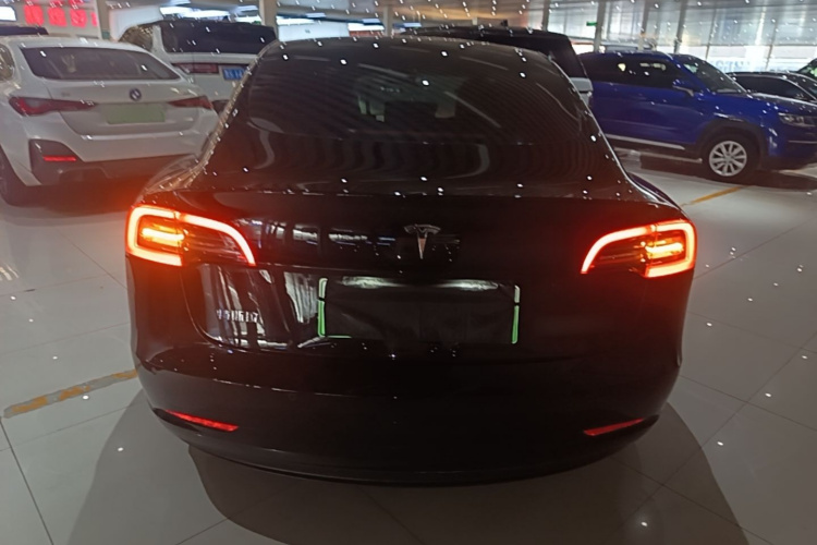 Tesla Model 3 2022 #6 Tesla Model 3 2022 car image #6
