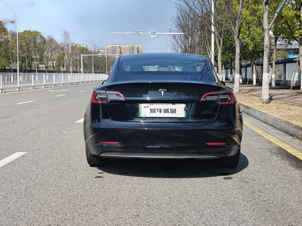Tesla Model 3 2022 immagine di auto #6