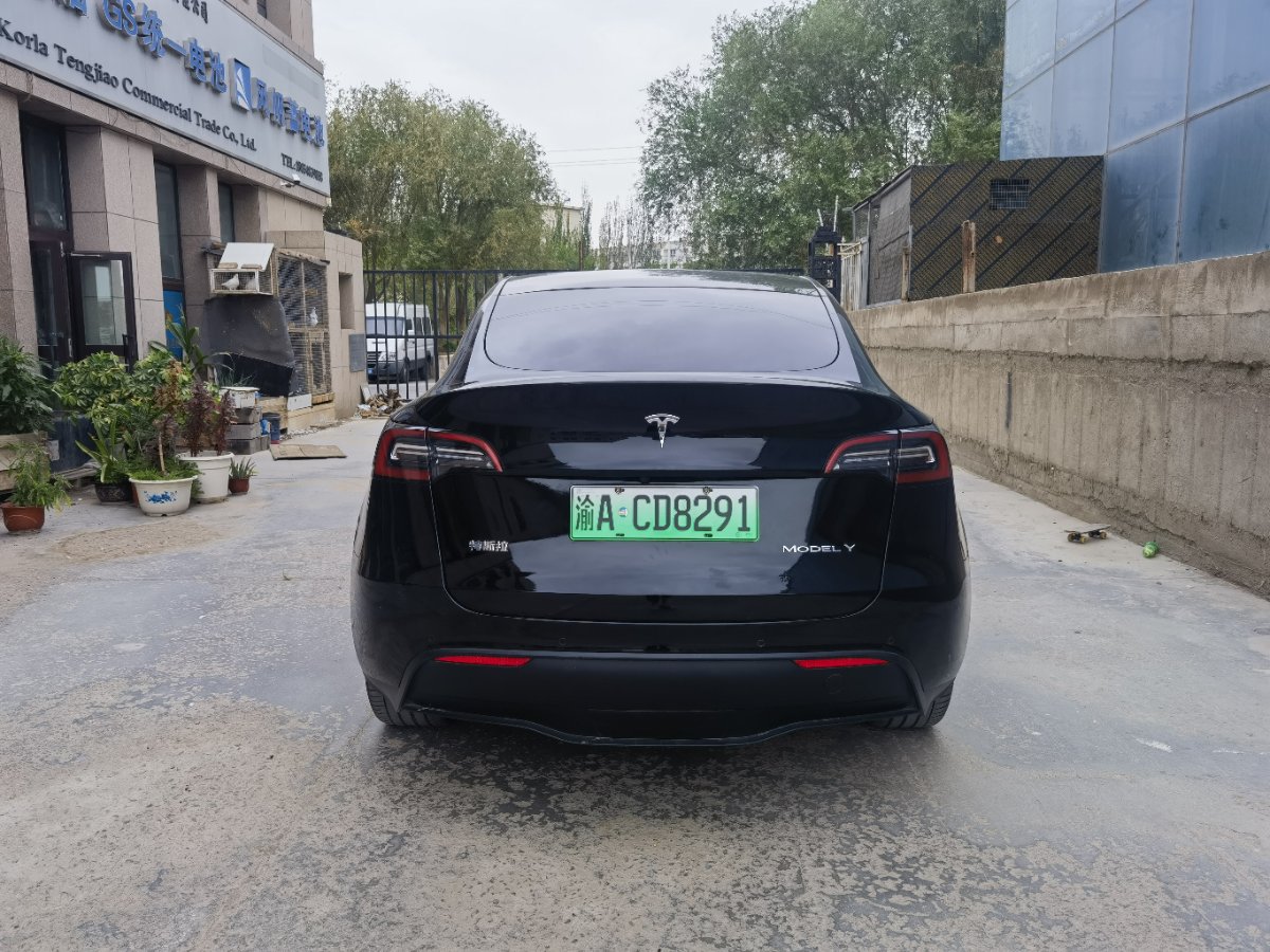 Tesla Model Y 2021 car image #8