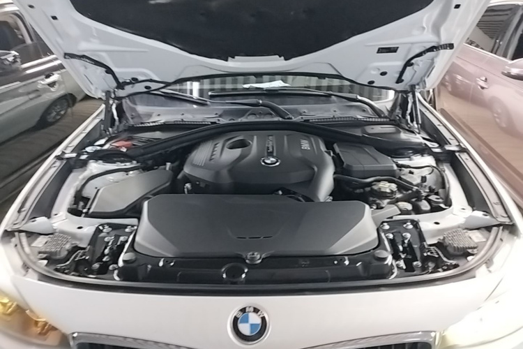 BMW 3 Series GT 2018 car image #20