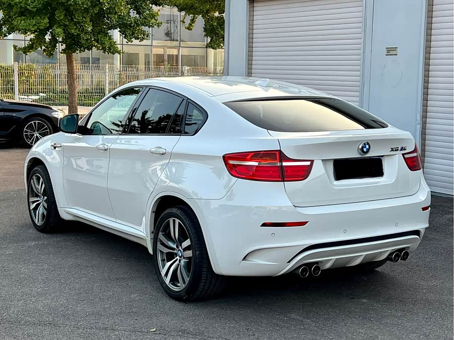 BMW X6 M 2012 car image #8